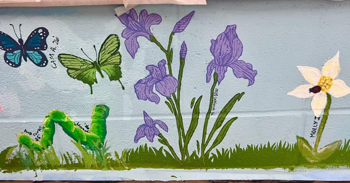 Seniors Create Art Mural in the Foyer